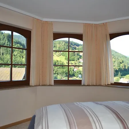 Apartment Schwarzwaldsteig *