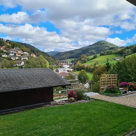 Lejlighed Schwarzwaldsteig Bad Peterstal-Griesbach
