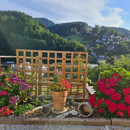 Schwarzwaldsteig Apartman *