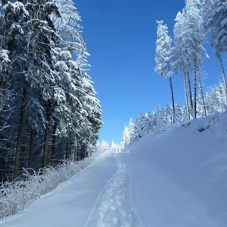 Schwarzwaldsteig *