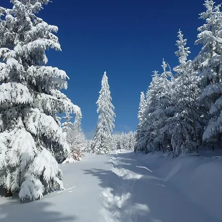 Schwarzwaldsteig Apartman *