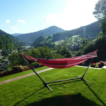 Schwarzwaldsteig