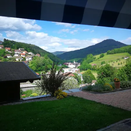 Apartment Schwarzwaldsteig Bad Peterstal-Griesbach