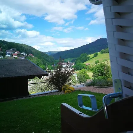 Schwarzwaldsteig *